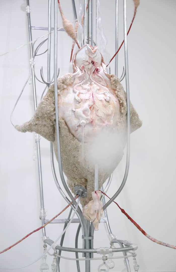 Exposition Interférences d'Anaïs Gauthier