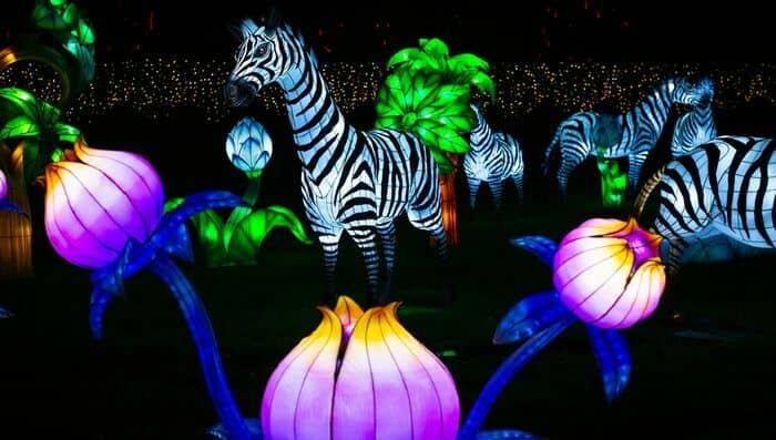 L'Odyssée lumineuse