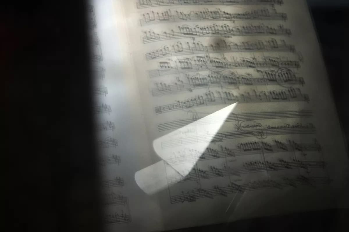 Concert du dimanche / Salon viennois