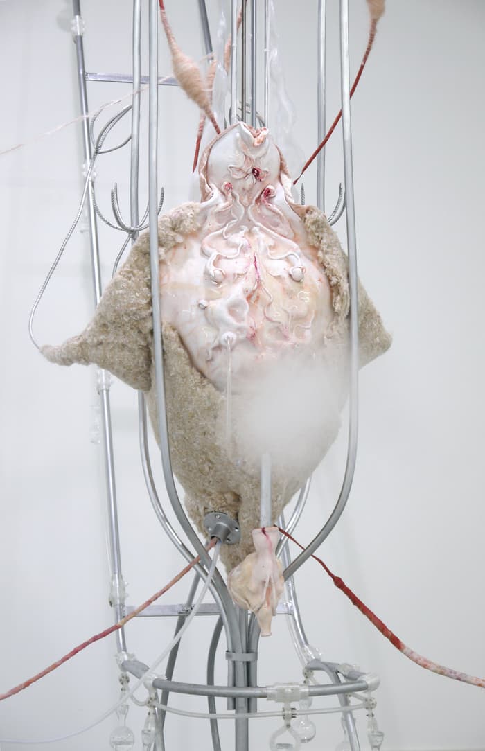 Exposition Interférences d'Anaïs Gauthier