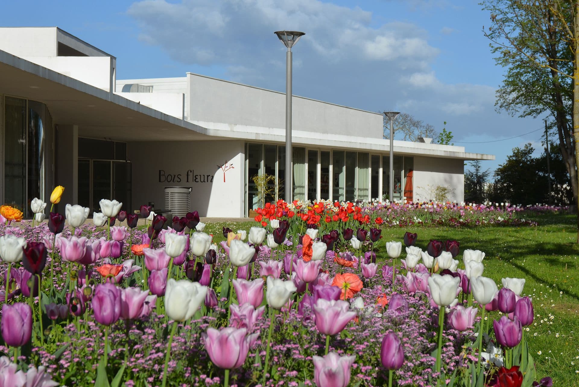 Pôle culturel et sportif du Bois fleuri